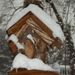 Profile Picture of Lee Thomas (@leethomas5872) on Pinterest