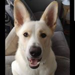 Profile Picture of Max O'Keefe (@max.okeefe.18) on Instagram