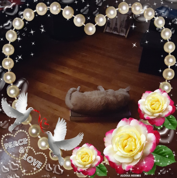 Profile Picture of Ellen Trahan (@ellen_trahan) on Poshmark