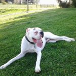 Profile Picture of Tim Thatcher (@tim.thatcher.58) on Instagram