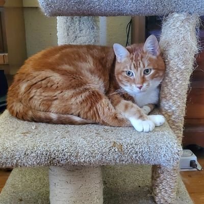 Profile Picture of Stephen Rager (@rager_stephen) on Twitter