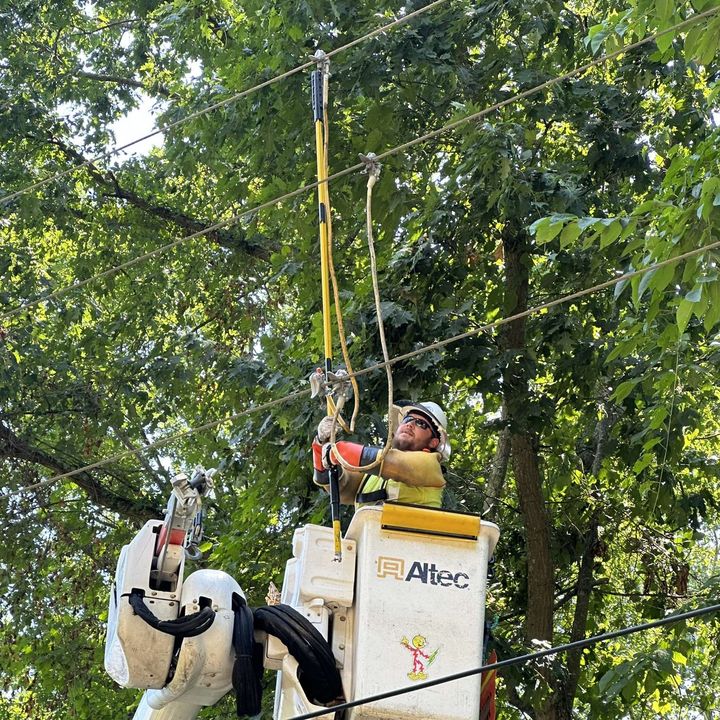 Profile Picture of Cody Collett (@codycollett3) on Tiktok