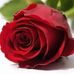 Profile Picture of Michael Vajda (@edidiong.daniel.775) on Facebook