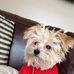 Profile Picture of Matthew Rolfe (@matthew.rolfe.319) on Facebook