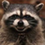 Profile Picture of Yariel Lopez (@yariel94) on Flickr