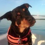 Profile Picture of Lisa Morrone Van Dusen (@lmvandusen) on Instagram