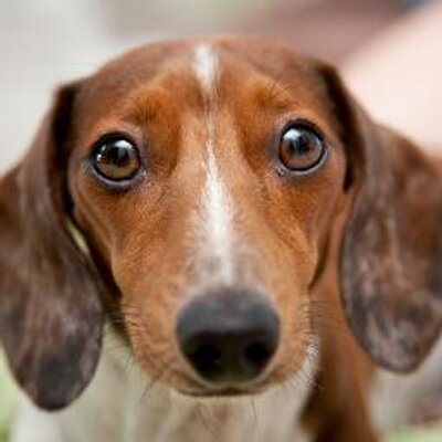 Profile Picture of Scott Galvin (@Scott_Galvin) on Twitter