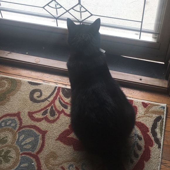 Profile Picture of Isabel Saez (@pickleb0i) on Poshmark