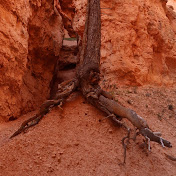 Profile Picture of Kimberly Page (@kimberlypage5153) on Youtube