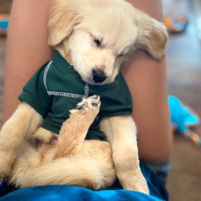 Profile Picture of Natalie Karwandy (@NatalieKarwandy) on Twitter