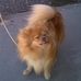 Profile Picture of Barbara Witter (@barbara.witter.5) on Facebook