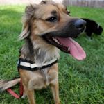 Profile Picture of John Yates (@johnyates3rd) on Instagram