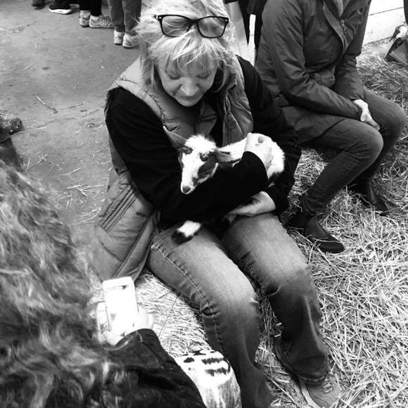 Profile Picture of Lisa Donnelly (@ldonnelly91) on Poshmark