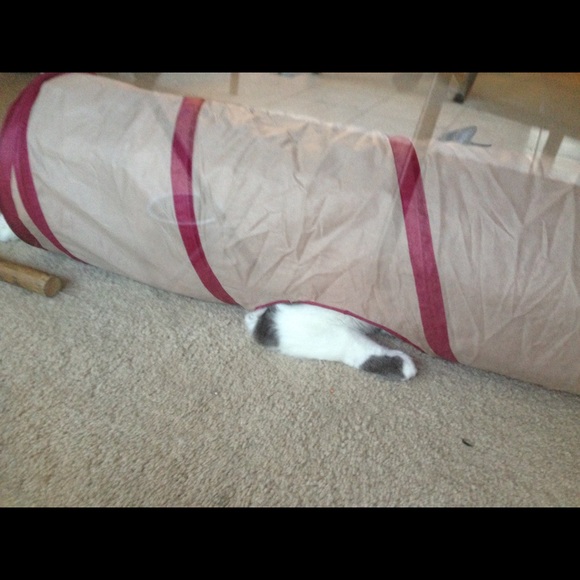 Profile Picture of Casey Zakel (@pokiieboy) on Poshmark