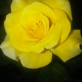 Profile Picture of Haris Rahim (@Haris-Rahim) on Facebook