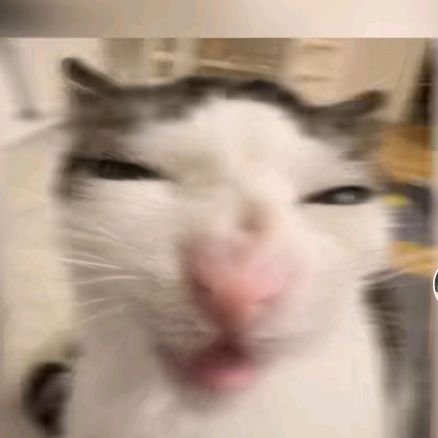 Profile Picture of Michael Bro (@michaelbro2707) on Tiktok