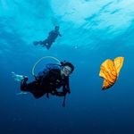 Profile Picture of Jacky Zhang (@jackyzhang9406) on Instagram