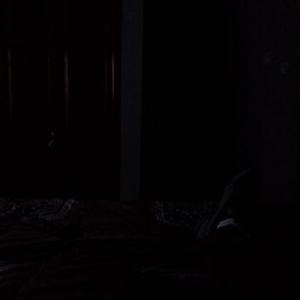 Profile Picture of Yolanda Cantu (@cantugardea) on Twitter