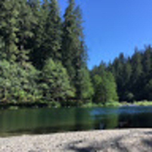 Profile Picture of Jamye Jamye (@jamyejamye) on Poshmark