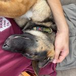 Profile Picture of Andy Wolfe (@maybeitsanderson) on Instagram