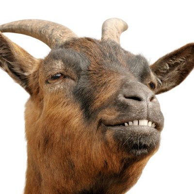 Profile Picture of Sean Timmons (@timmonss) on Twitter