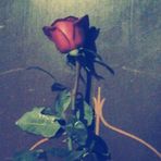 Profile Picture of Lucía Castrejon (@mariaolivia.castrejon) on Facebook