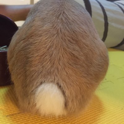 Profile Picture of LoK LoK  ✋🏻 (@siu_loklok_hk) on Twitter