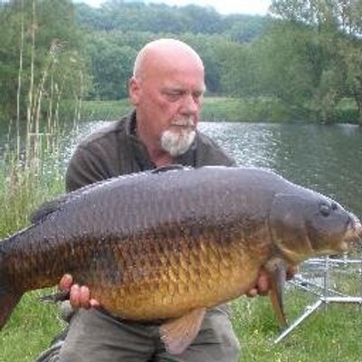 Profile Picture of #michael Moyes (@MoyesMichael) on Twitter