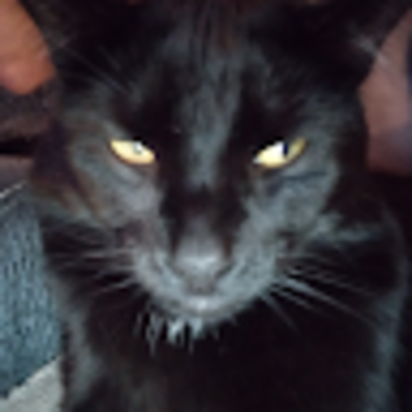 Profile Picture of Mélanie Chrétien (@melanieftw25) on Poshmark