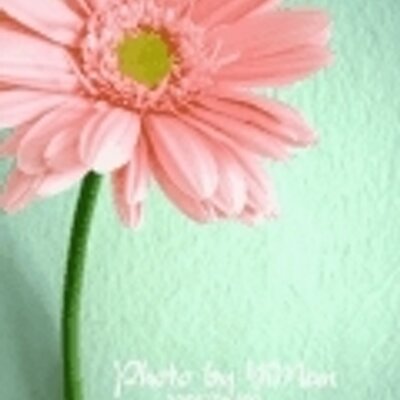 Profile Picture of Zeng Ting (@Tina_zeng) on Twitter