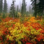 Profile Picture of Ted (@q1tedboyce) on Instagram