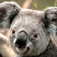 Profile Picture of Coco Johnson (@coco-johnson-16) on Quora