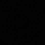 Profile Picture of Dylan Schauber (@dylanschauber2306) on Youtube