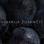 Profile Picture of Vinarija Župančić (@vinarijazupancic) on Instagram