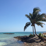 Profile Picture of Bill Freeman (@freemanwd28) on Flickr