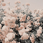 Profile Picture of Alexis James (@alexisjames1821) on Youtube