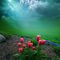 Profile Picture of Carlos Zhicay (@carlos.zhicay.395) on Facebook