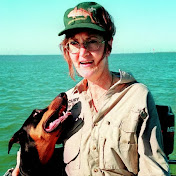 Profile Picture of Phyllis Ingram (@texasamericaneagle) on Youtube