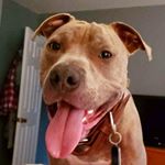 Jesse Jackman - Instagram Profile Picture of Jesse Jackman (@jesse.jackman) on Instagram