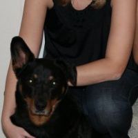 Profile Picture of Marjorie Johnson (@marj2184) on Pinterest