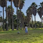 Profile Picture of Fernando Plata (@Fernando-Plata) on Facebook