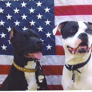 Profile Picture of Roxanne Gamble (@340404611) on Myspace