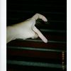Profile Picture of April April Coz (@april.april.coz) on Tiktok