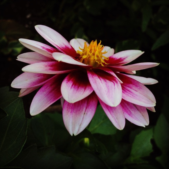 Profile Picture of Sydney Konny (@sydneybean4) on Poshmark