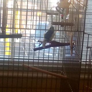 Profile Picture of John Patrick Kitzmiller (@john.kitzmiller.56) on Facebook