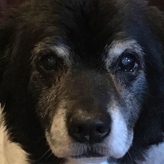 Adam Brydon - Facebook Profile Picture of Adam Brydon (@adam.brydon1) on Facebook