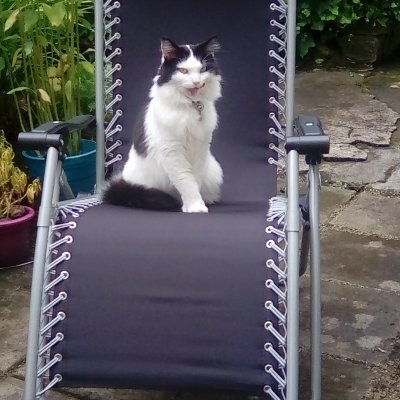 Profile Picture of Jo Ridley (@joriduk) on Twitter