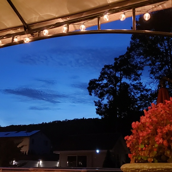 Hali Prelich - Poshmark Profile Picture of Hali Prelich (@hprelich) on Poshmark