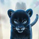 Profile Picture of Daniel Keith Hadley (@danielkeithhadley) on Instagram