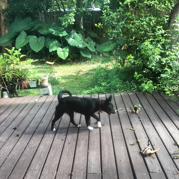 Profile Picture of Tanya Exelbirt (@tashaex) on Poshmark